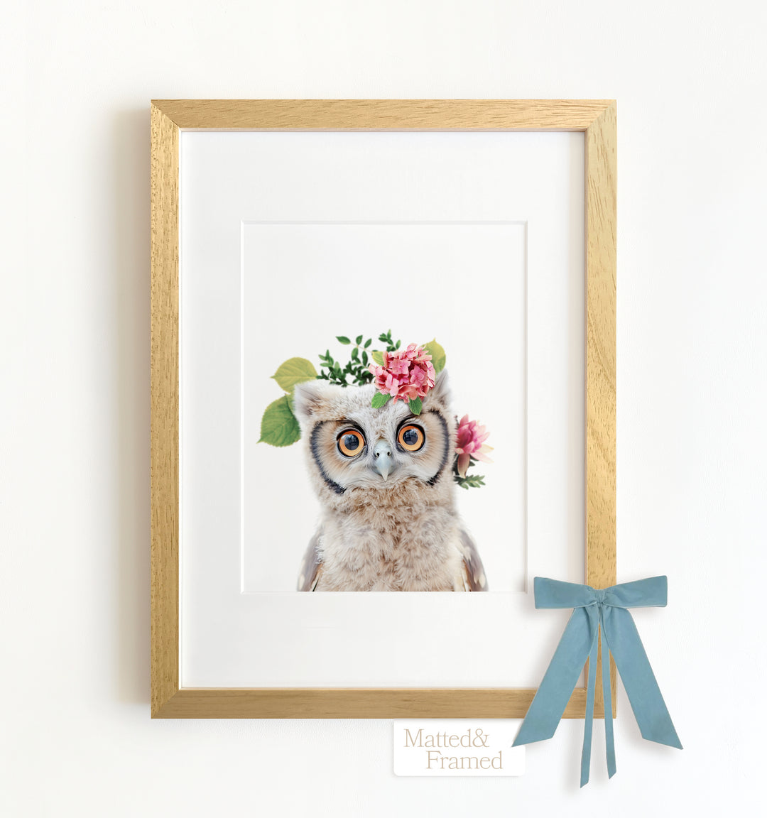 Baby Owl Framed Art