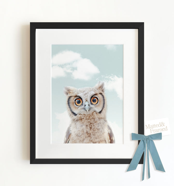 Baby Owl Framed Art