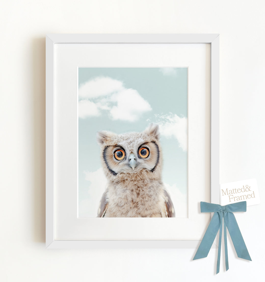 Baby Owl Framed Art