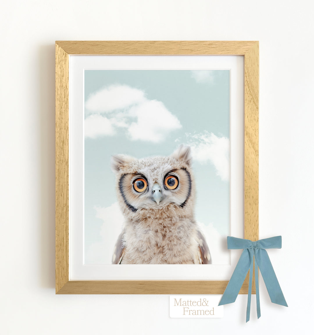 Baby Owl Framed Art