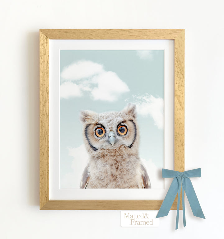 Baby Owl Framed Art