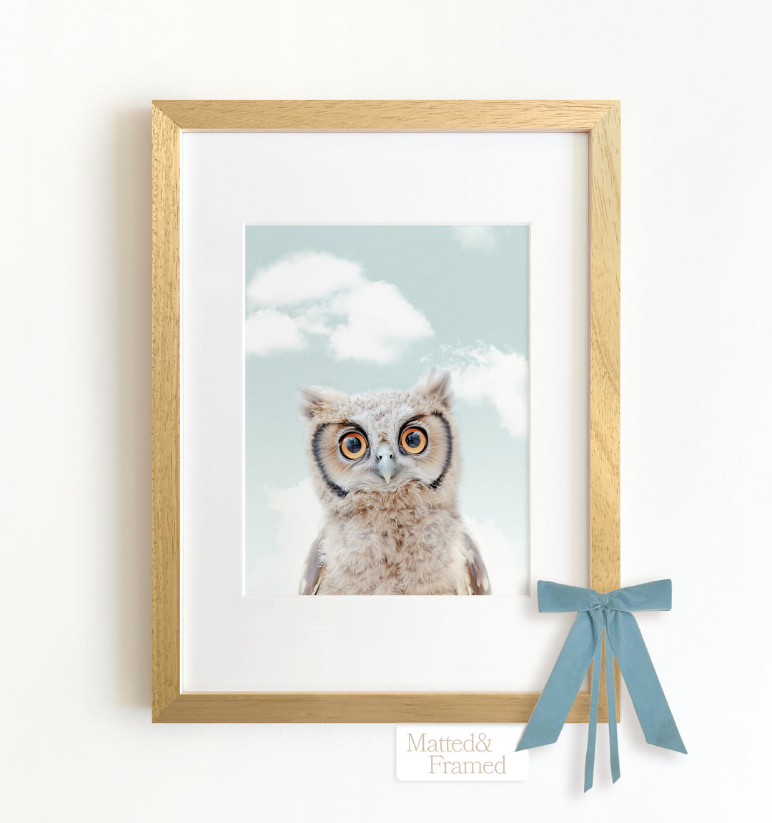 Baby Owl Framed Art