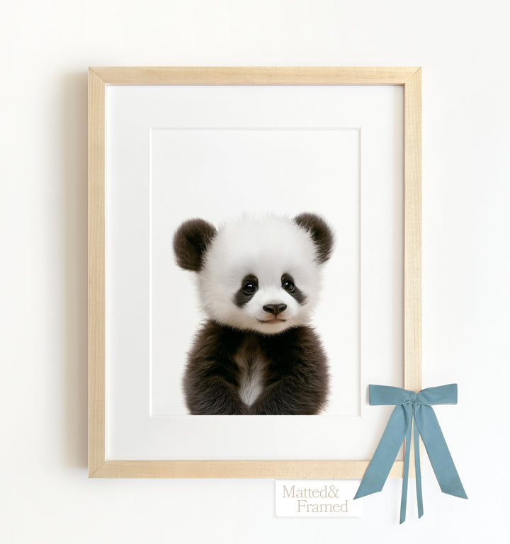 Baby Panda Framed Art