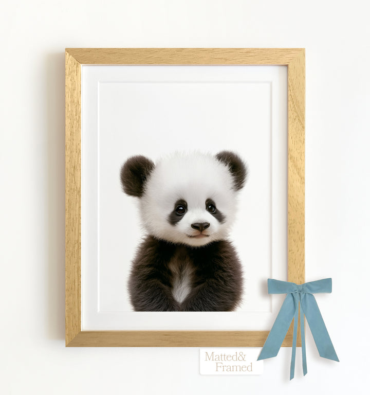 Baby Panda Framed Art