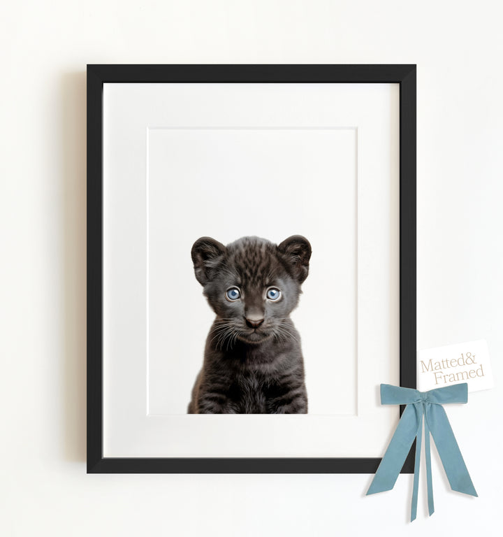 Baby Panther Framed Art