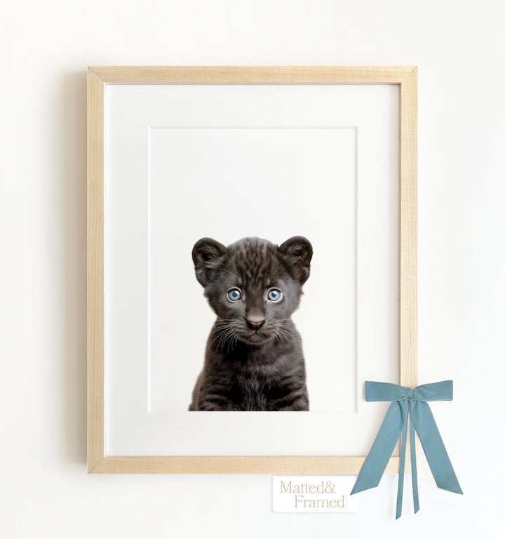 Baby Panther Framed Art