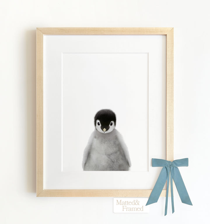 Baby Penguin Framed Art