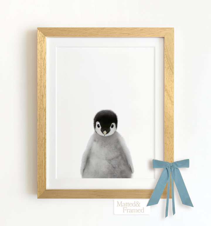 Baby Penguin Framed Art