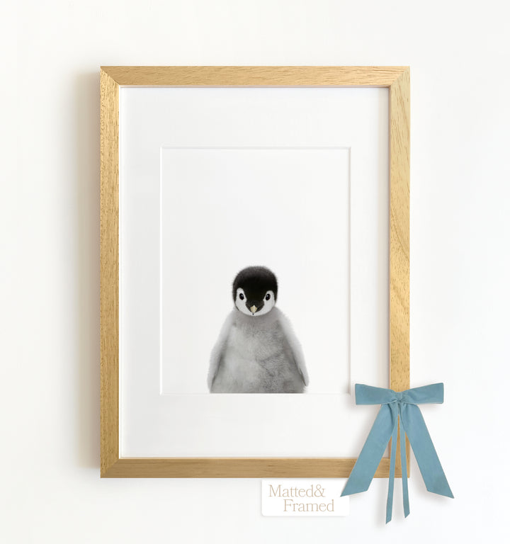 Baby Penguin Framed Art