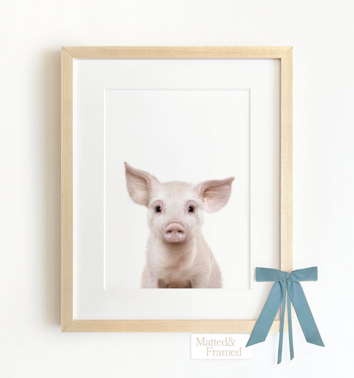 Baby Pig No. 2 Framed Art