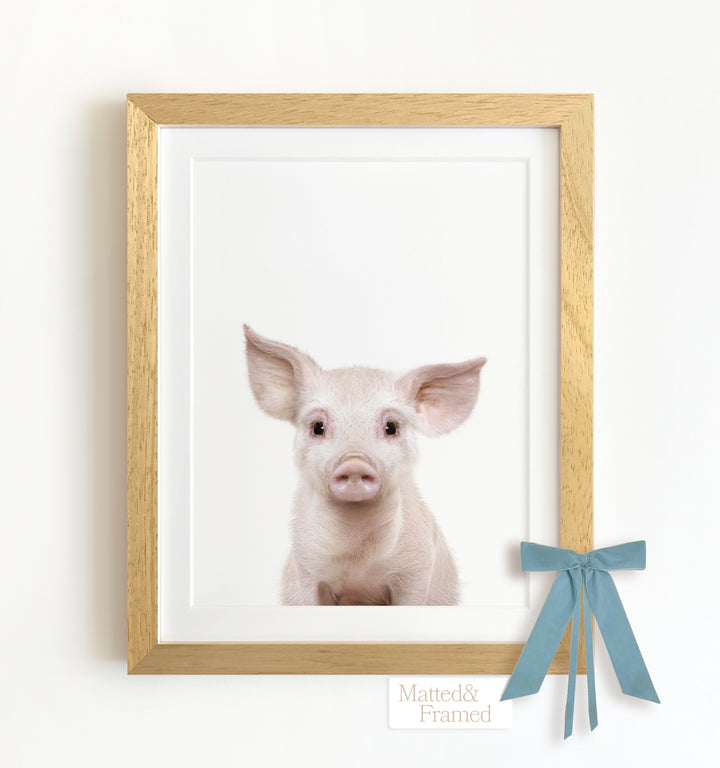 Baby Pig No. 2 Framed Art