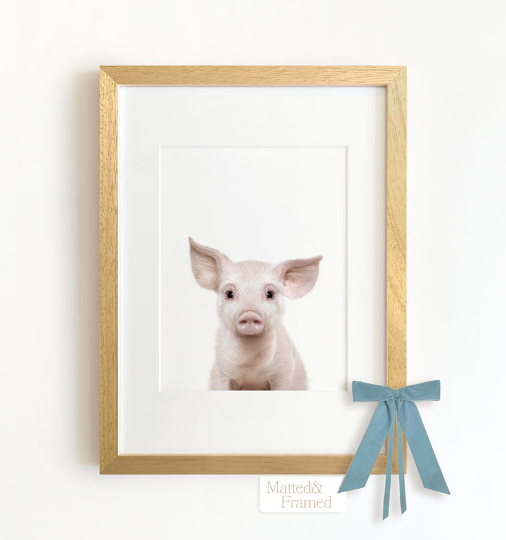 Baby Pig No. 2 Framed Art