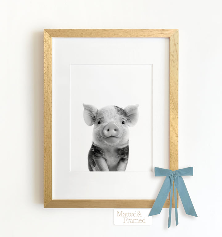 Baby Pig Framed Art