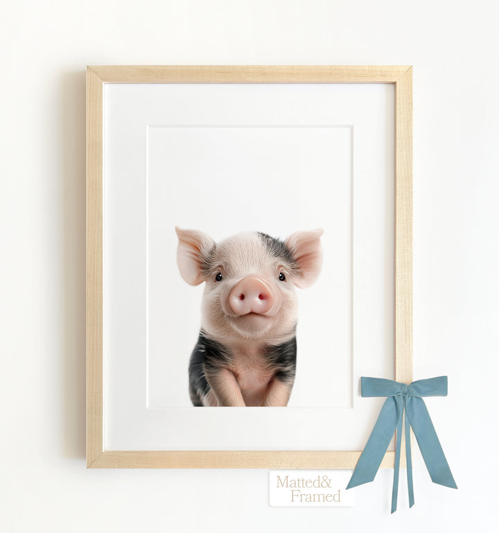 Baby Pig Framed Art