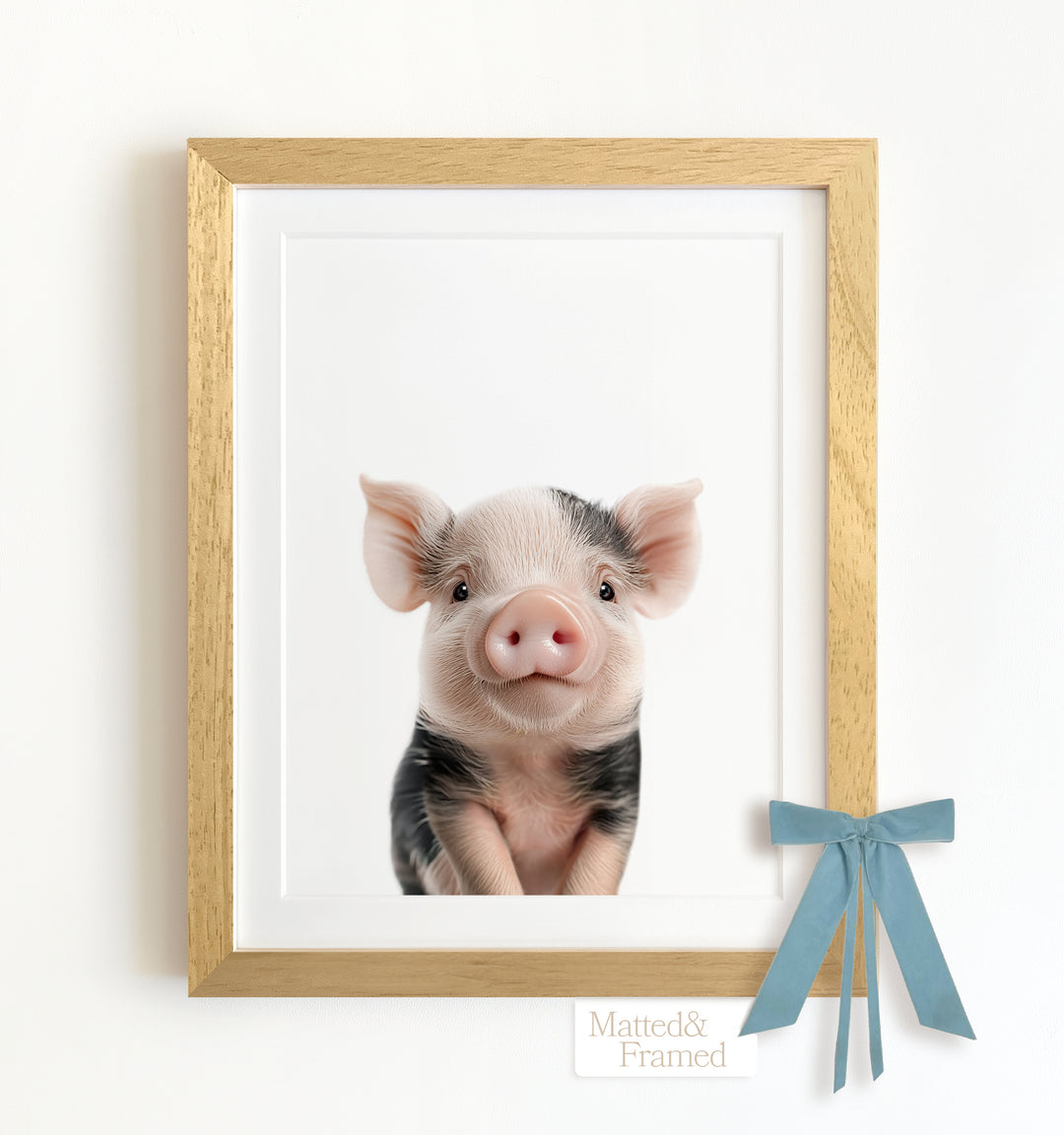 Baby Pig Framed Art