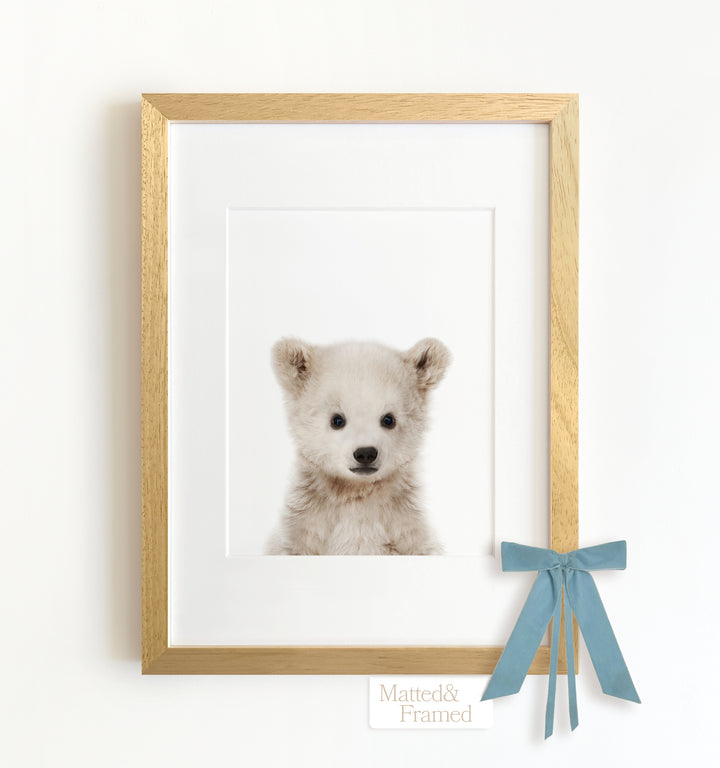 Baby Polar Bear Framed Art