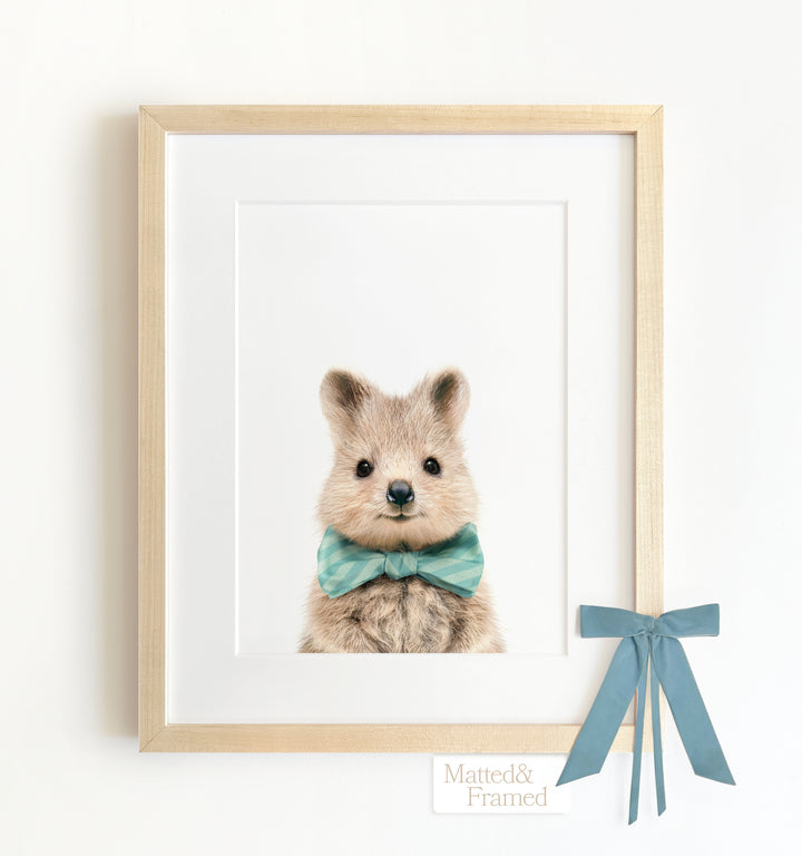 Baby Quokka Framed Art