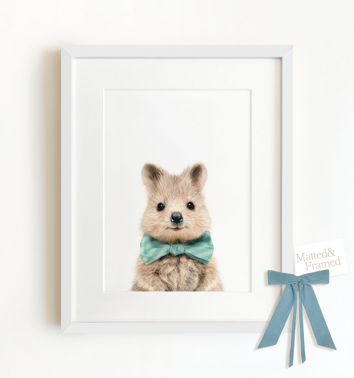 Baby Quokka Framed Art