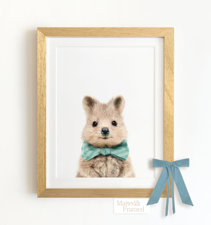 Baby Quokka Framed Art