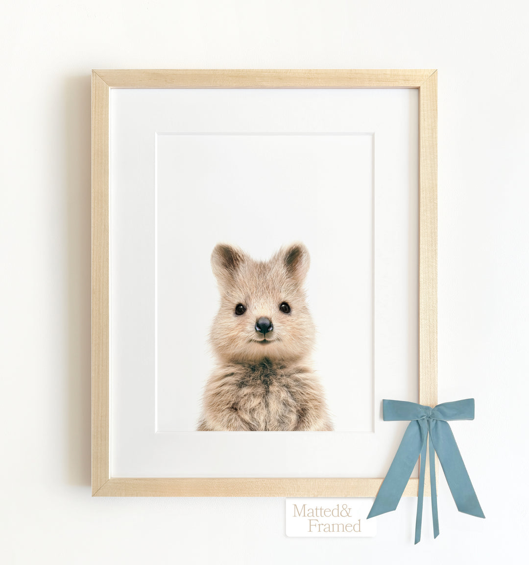 Baby Quokka Framed Art