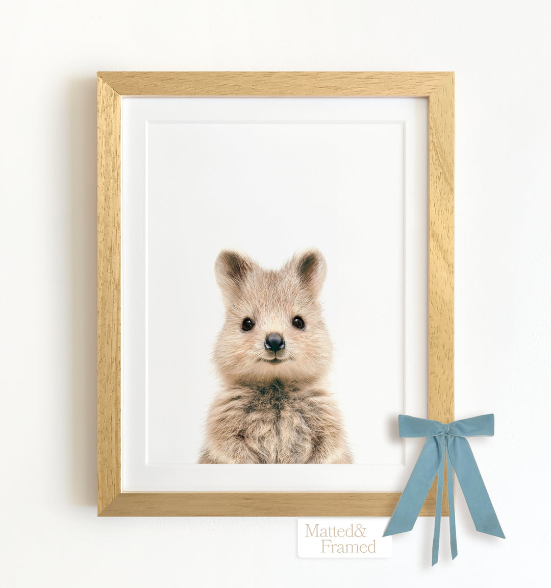 Baby Quokka Framed Art