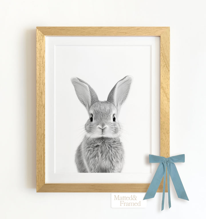 Baby Rabbit Framed Art