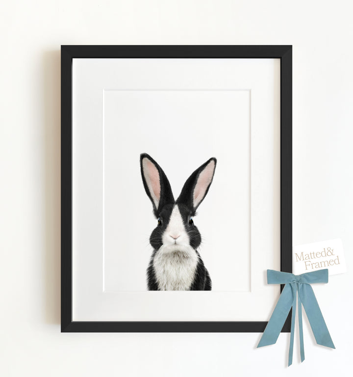 Baby Dutch Rabbit Framed Art