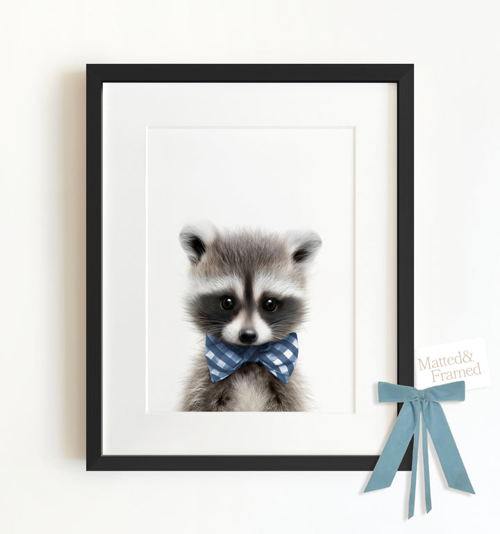 Baby Raccoon Framed Art