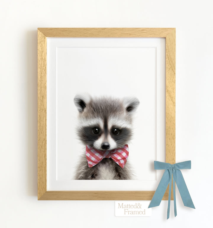 Baby Raccoon Framed Art