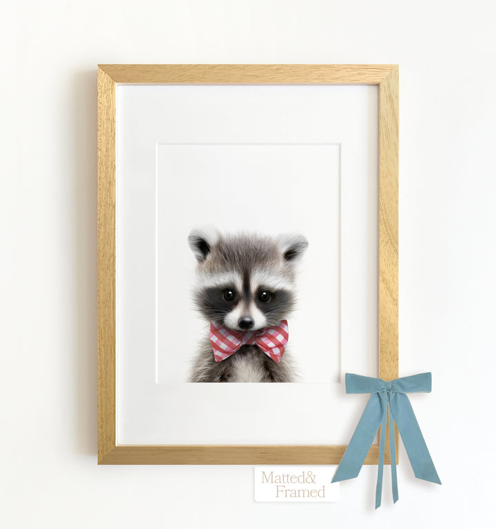 Baby Raccoon Framed Art