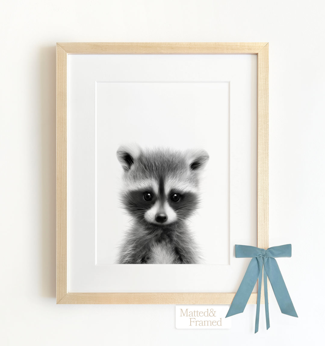 Baby Raccoon Framed Art