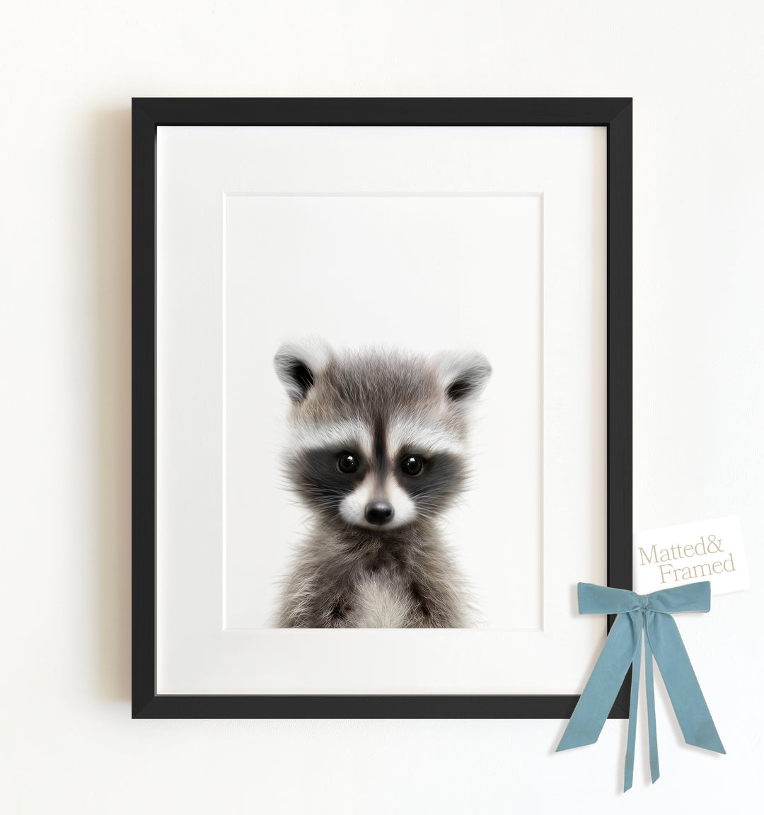 Baby Raccoon Framed Art