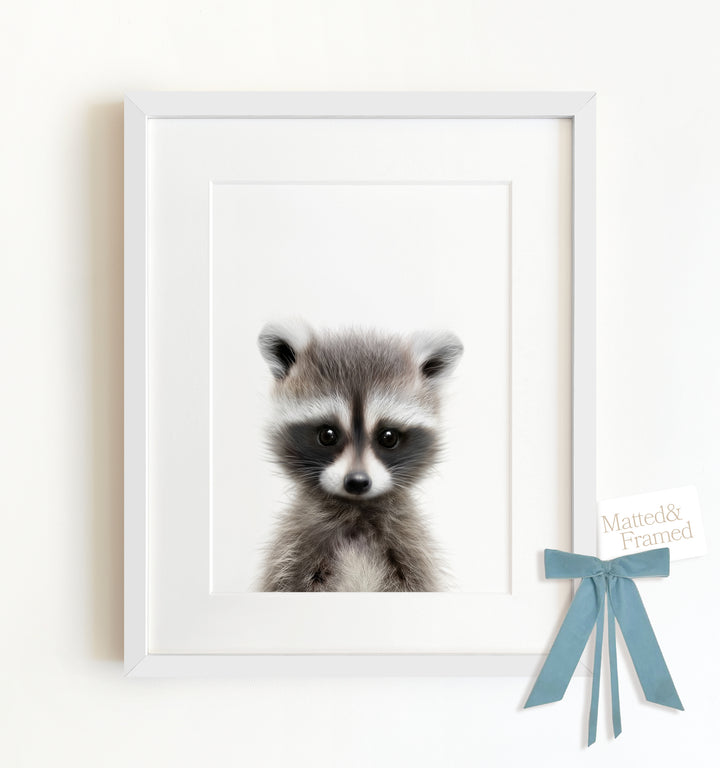 Baby Raccoon Framed Art