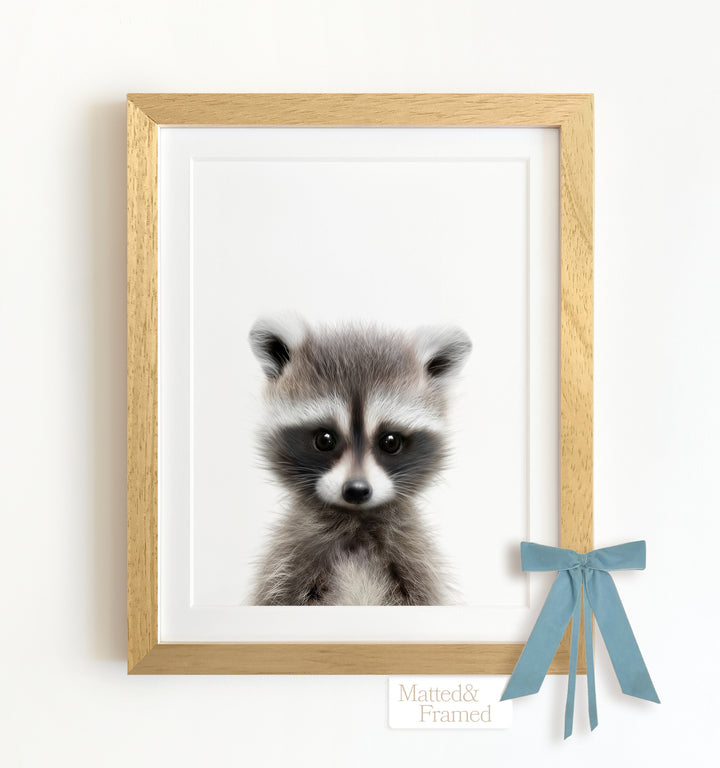 Baby Raccoon Framed Art