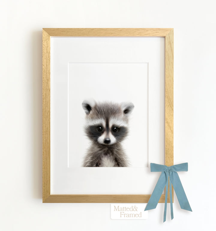 Baby Raccoon Framed Art