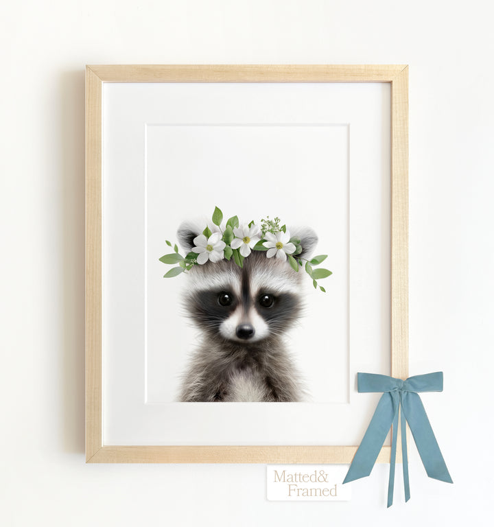 Baby Raccoon Framed Art