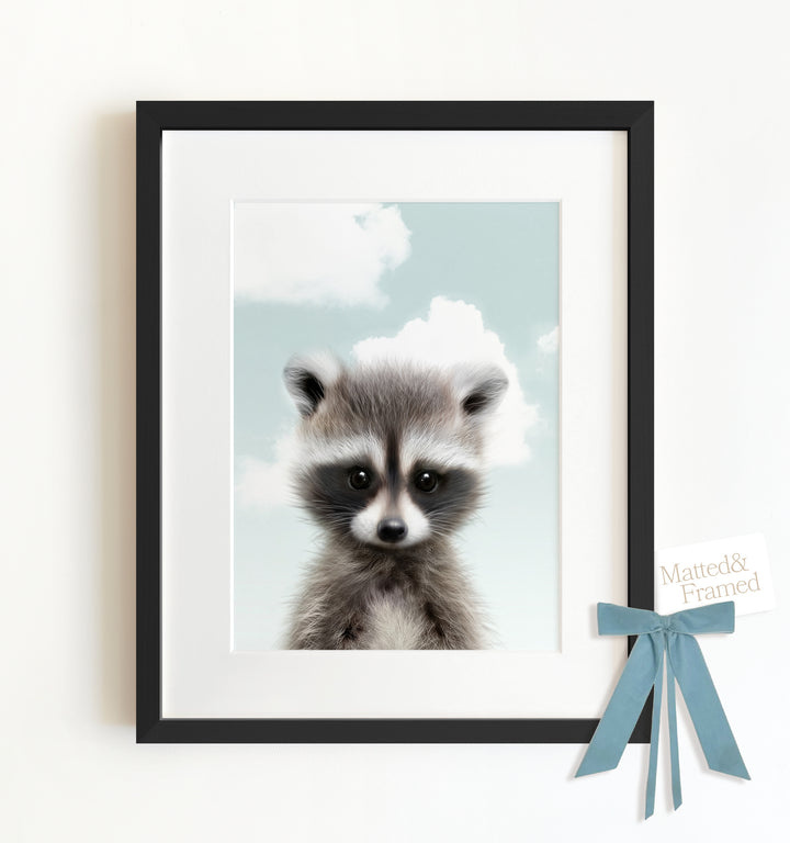 Baby Raccoon Framed Art