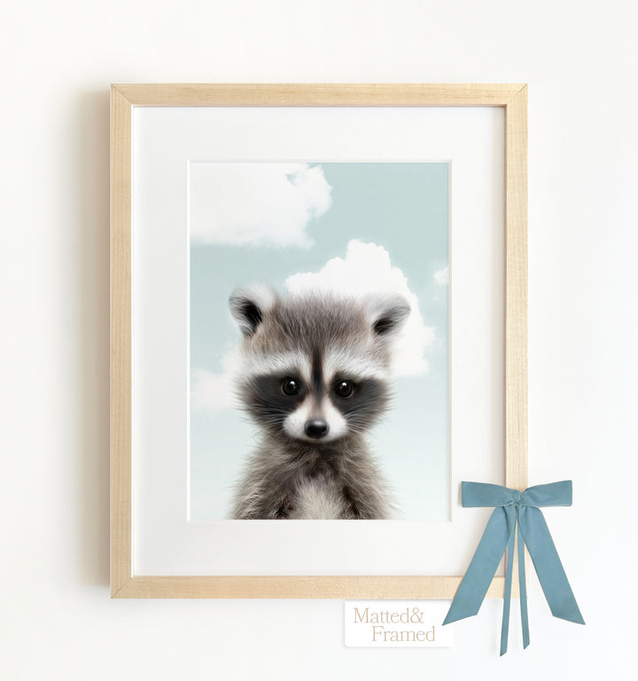 Baby Raccoon Framed Art