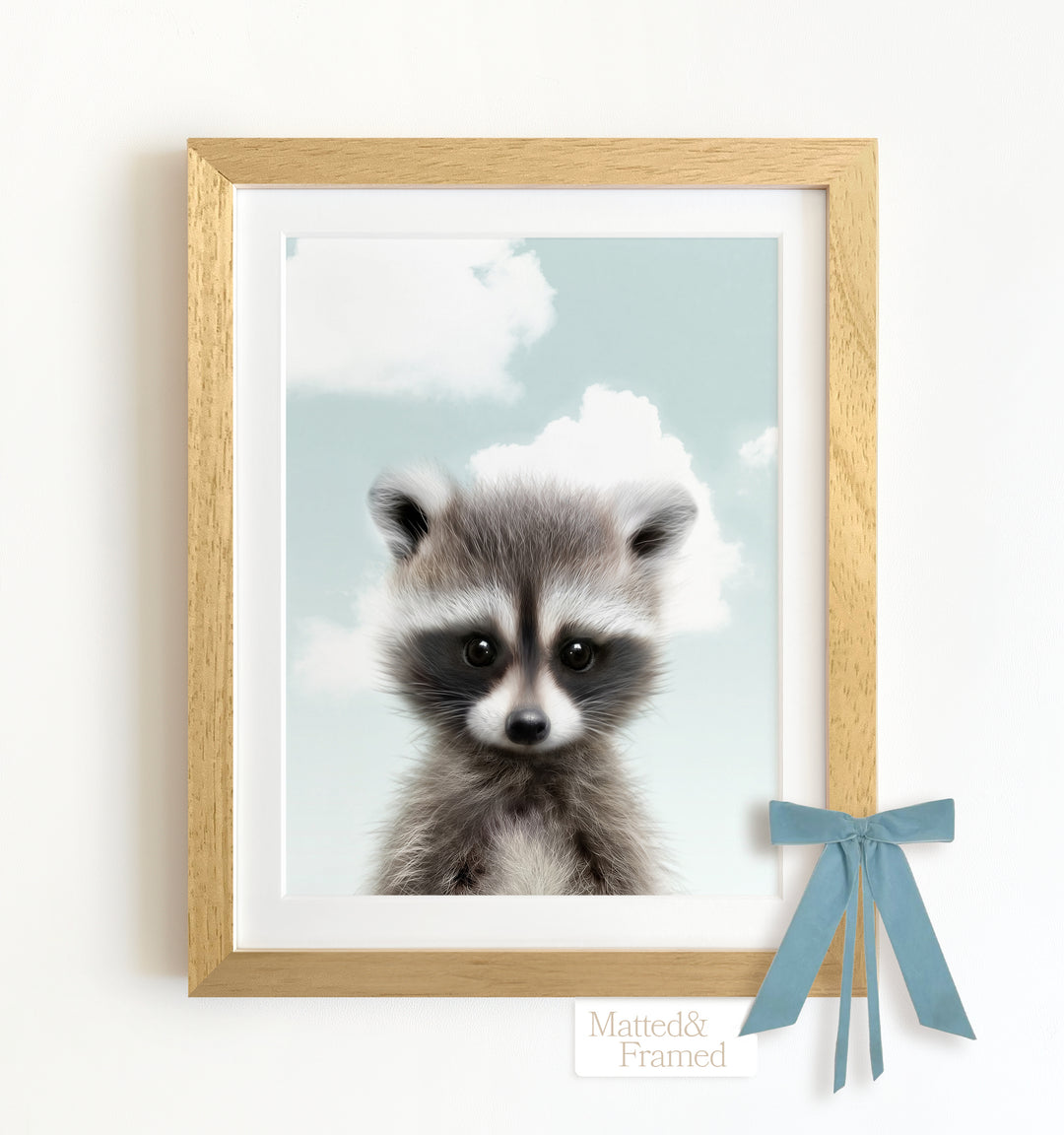 Baby Raccoon Framed Art