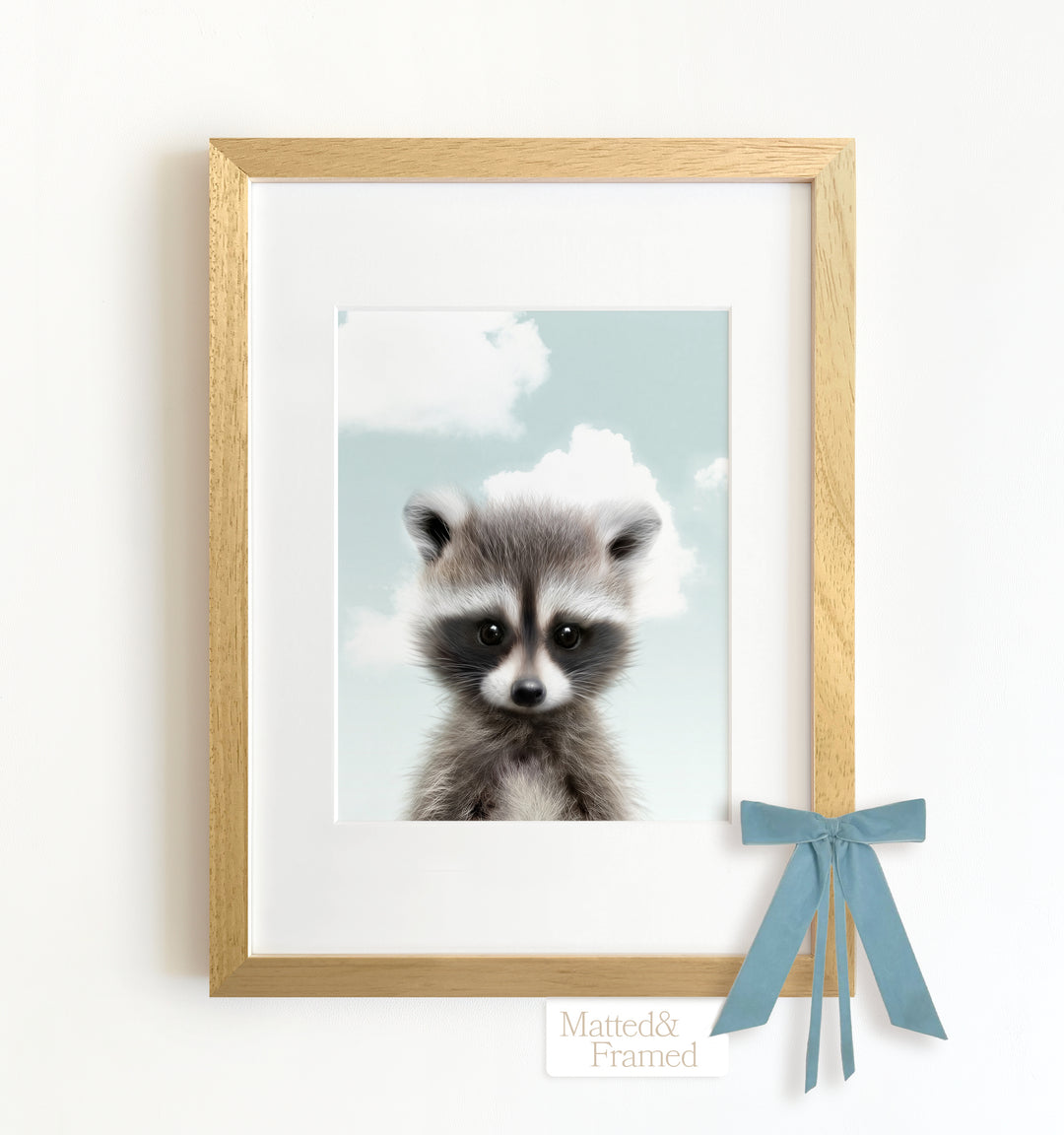 Baby Raccoon Framed Art