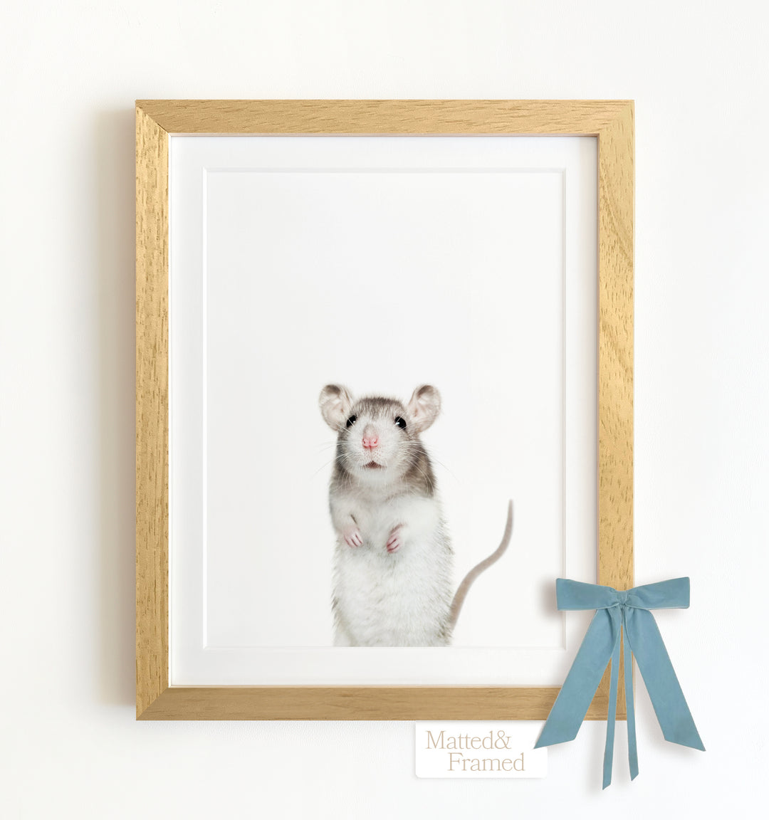 Baby Rat Framed Art