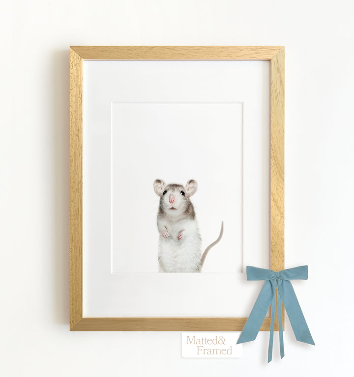 Baby Rat Framed Art