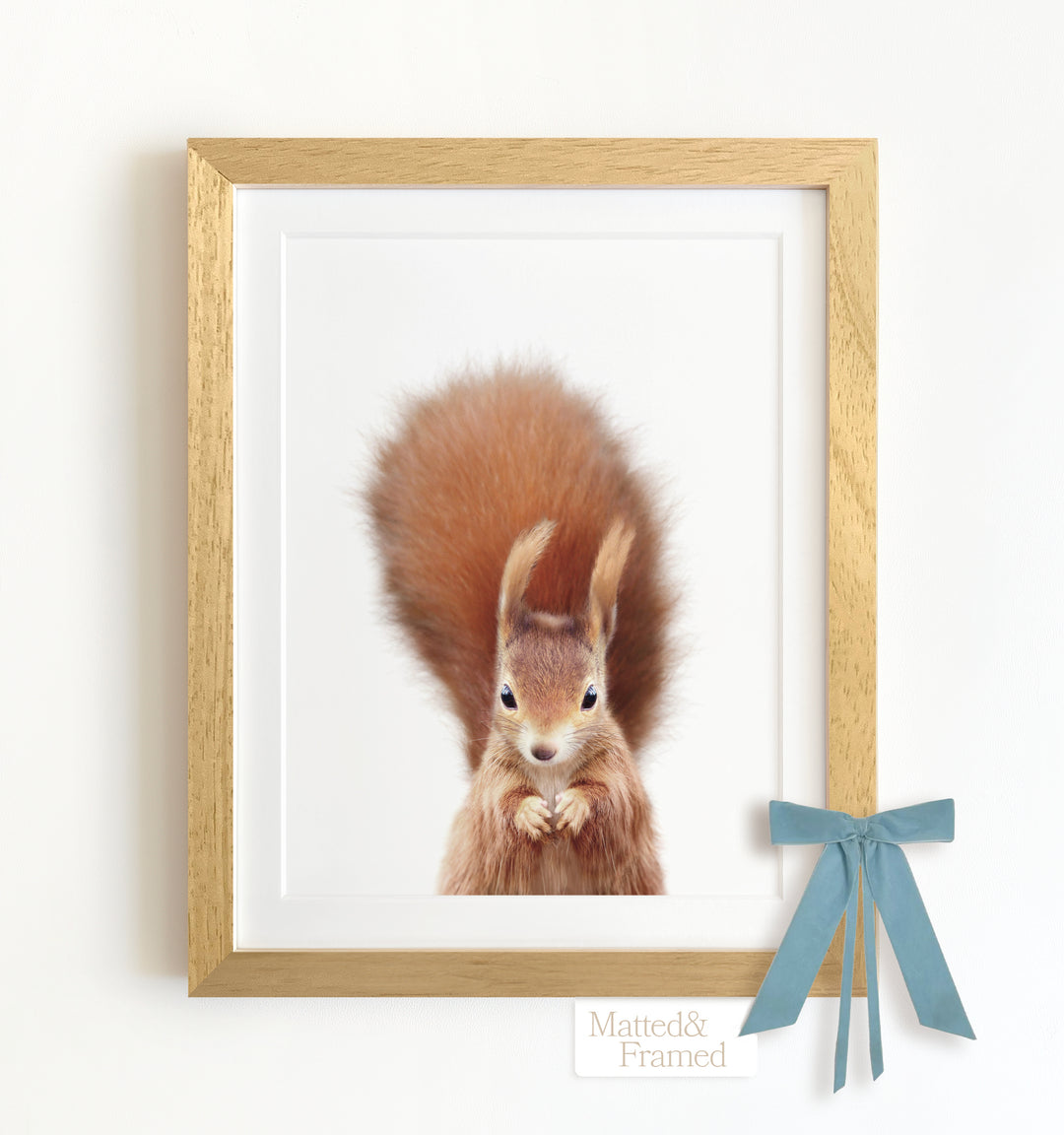 Baby Red Squirrel Framed Art