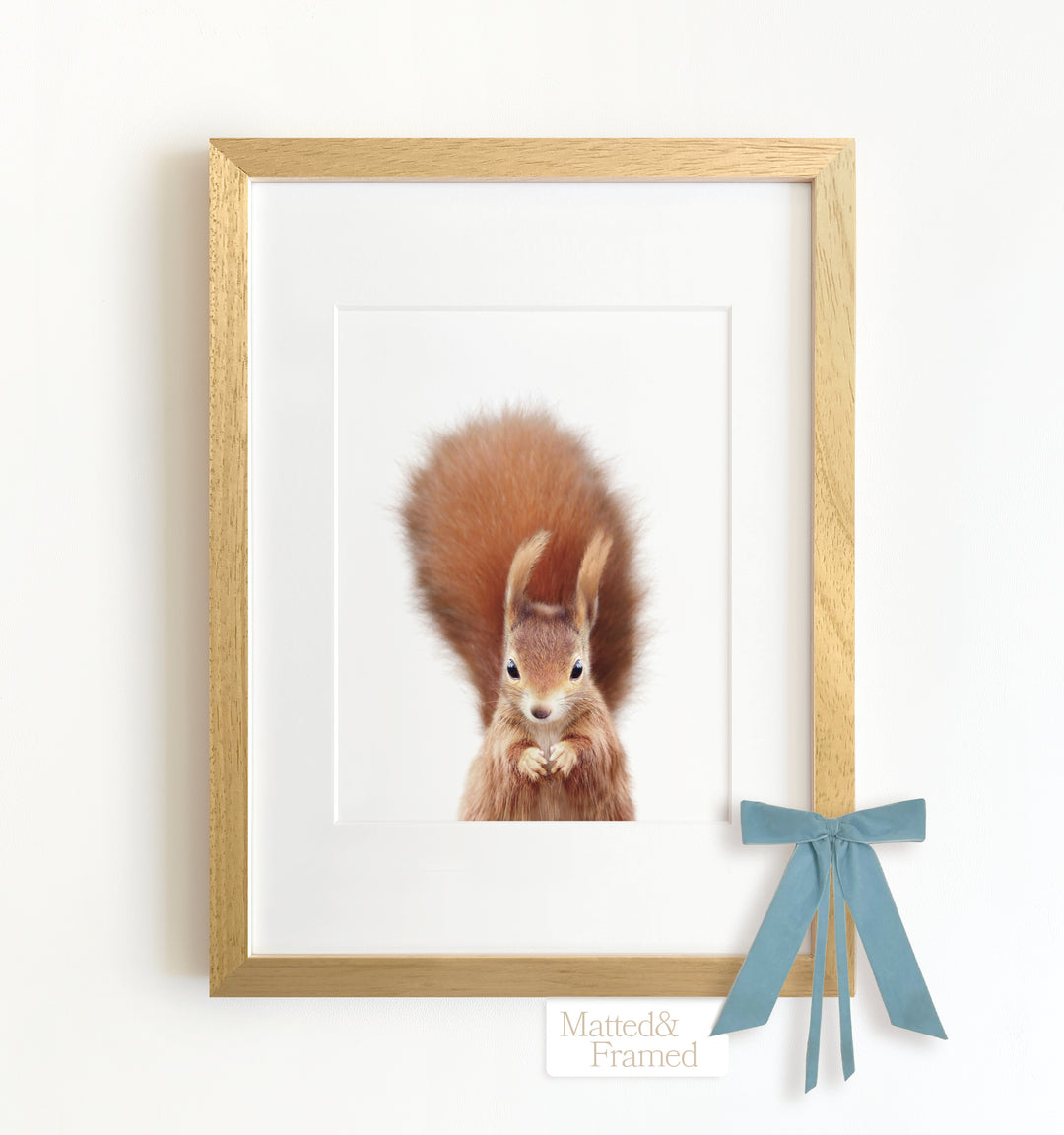 Baby Red Squirrel Framed Art