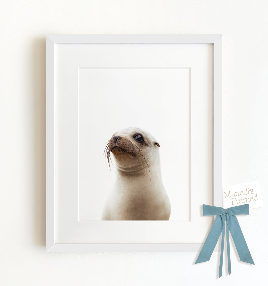 Baby Sea Lion Framed Art