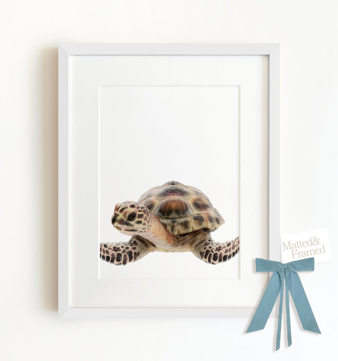 Baby Sea Turtle Framed Art