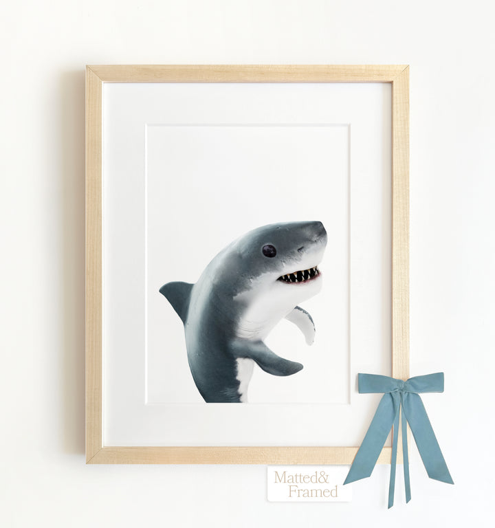 Baby Shark Framed Art