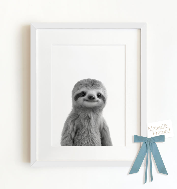 Baby Sloth Framed Art