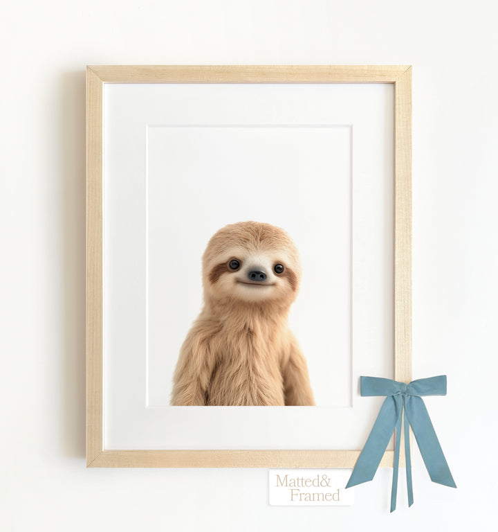 Baby Sloth Framed Art