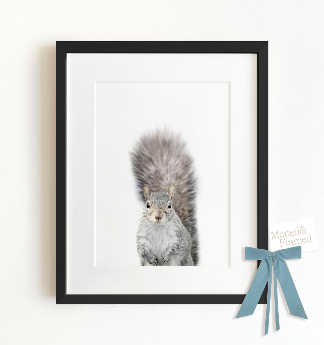 Baby Squirrel Framed Art